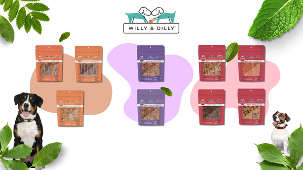 Willy and Dilly Natural Treats Blog Image Banner