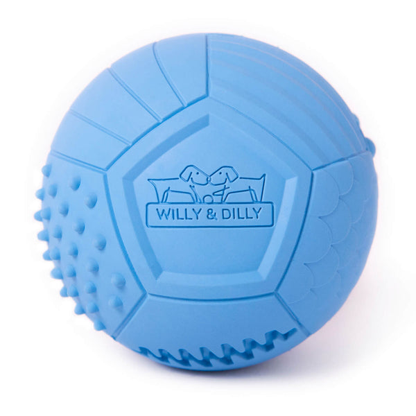 Large Ball Dog Toy - Blue